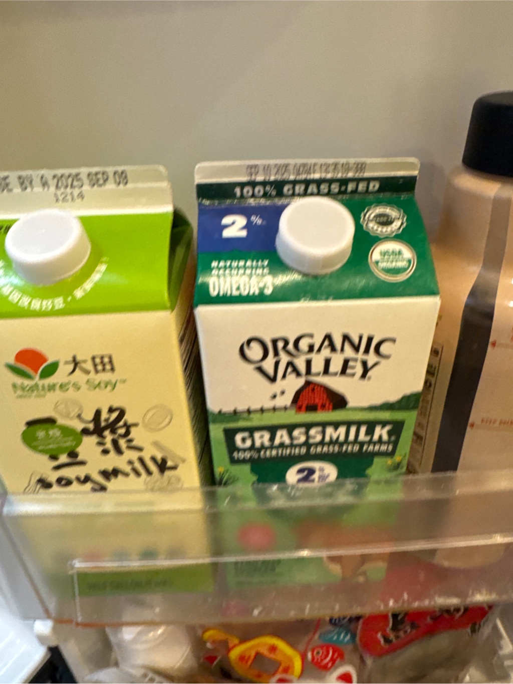 牛奶海豹 original.jpg?1620097746