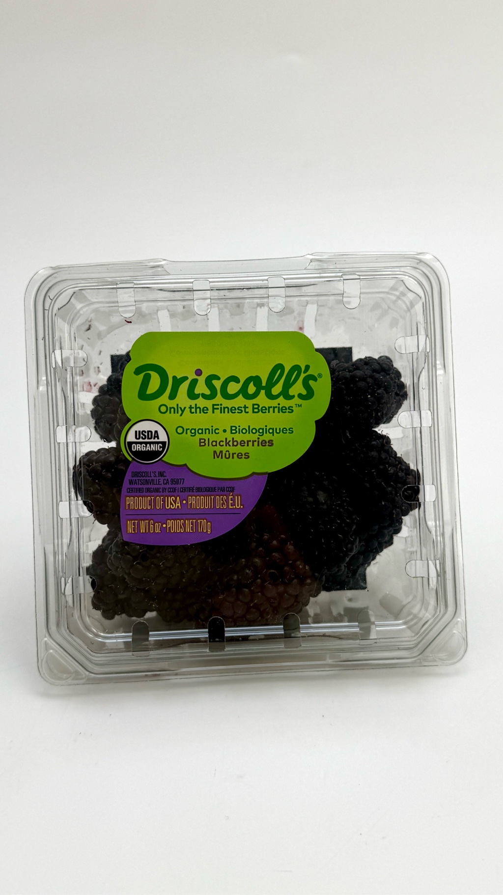 【ブラックベリーページ】 シークス リキッド ブラックベリー | カーフレグランス | 晴香堂