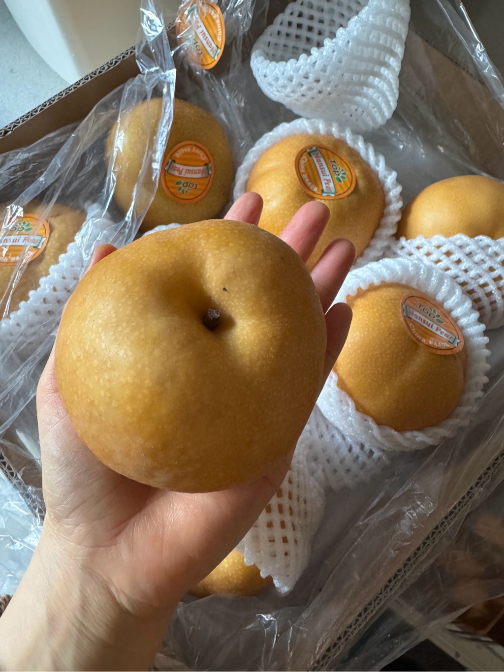 南水梨 ボックス 1 箱 - Weee!