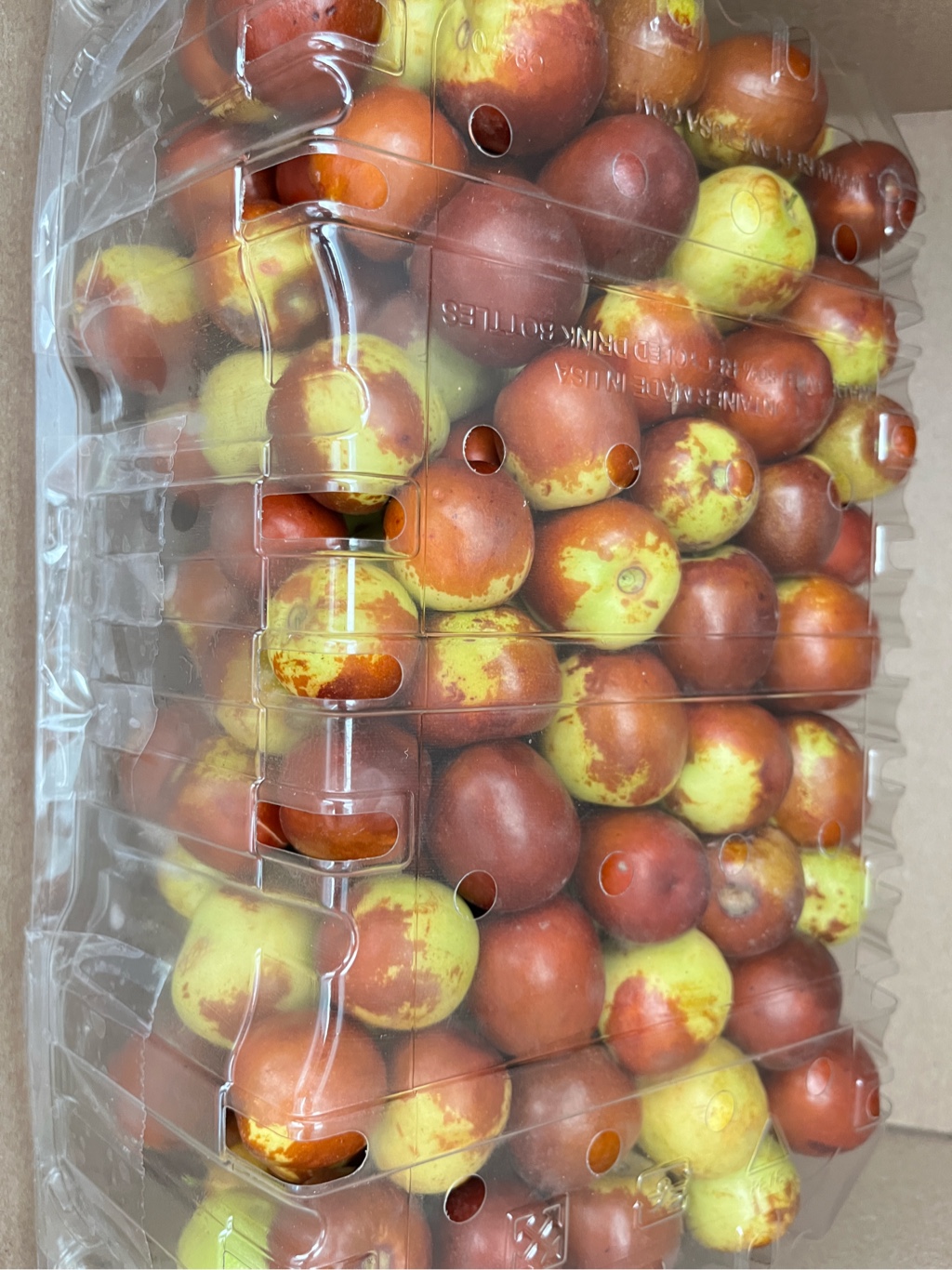 冬なつめ 生なつめ - Weee!