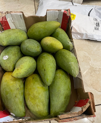 Buy Xoai Nam Doc Mai near me with free delivery