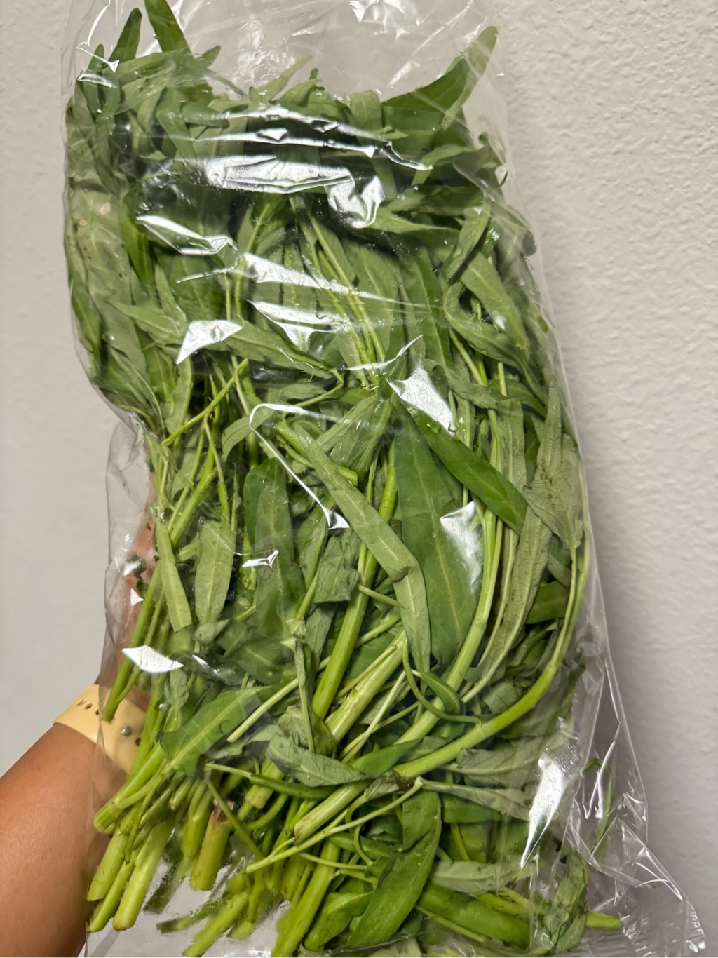 空心菜 jiayue110６キロ 空心菜 jiayue1106キロ 空芯菜 【業務用食材の仕入れなら八面六臂】