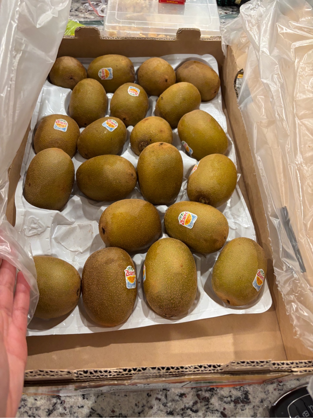 きうぃ エフピコチューパ NZW 6P 21-14 (94) AP 208×143×94 フード