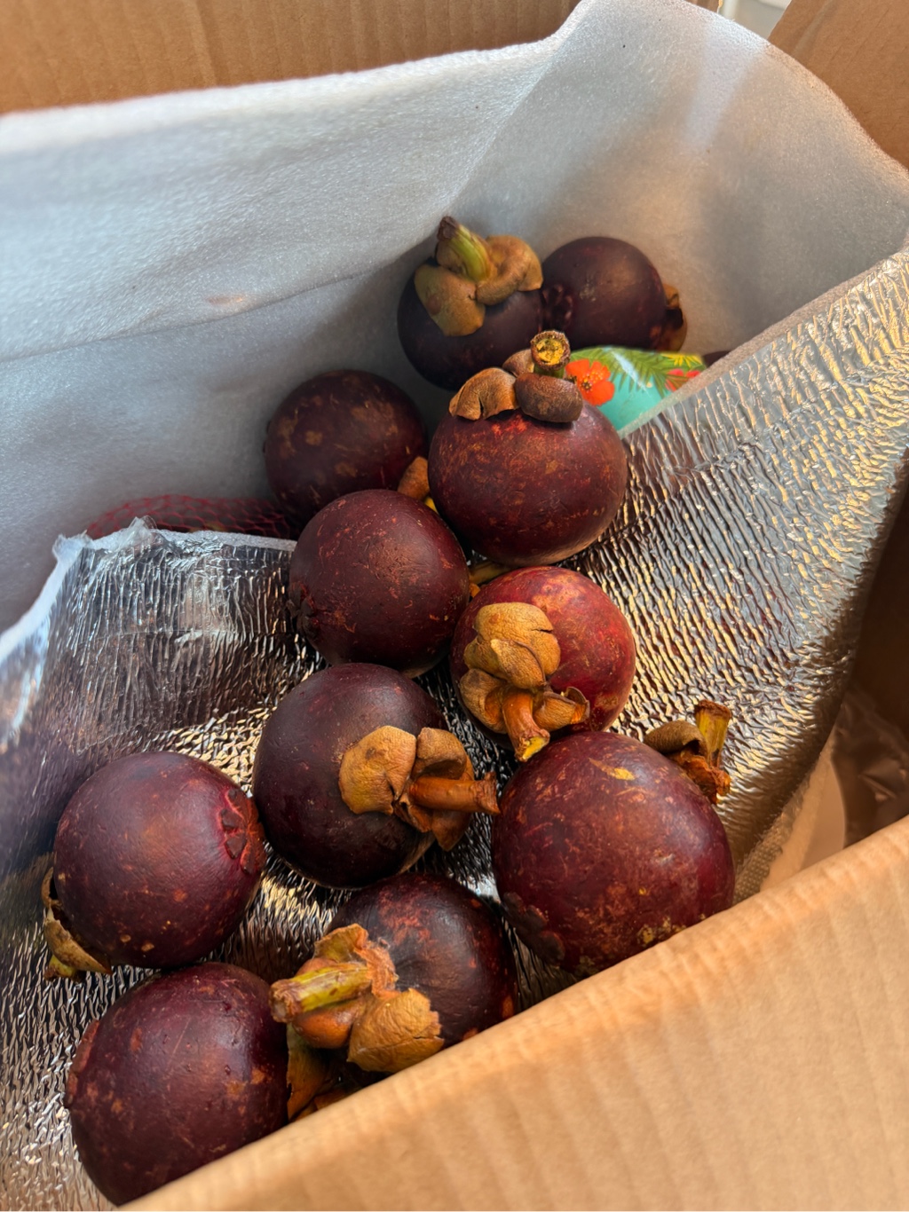 Get Fresh Mangosteen (ONLY NY AND SURROUNDING AREA) Delivered