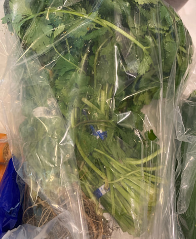 パクチーページ 近くのぱくちーを購入すると送料無料