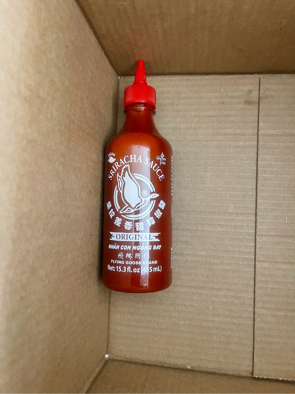 ⭐︎おソース祭さま専用⭐︎ チリ南部産のコガシラクワガタ③【標本】 ⭐︎おソース祭さま専用⭐︎ チリ南部産のコガシラクワガタ③【標本