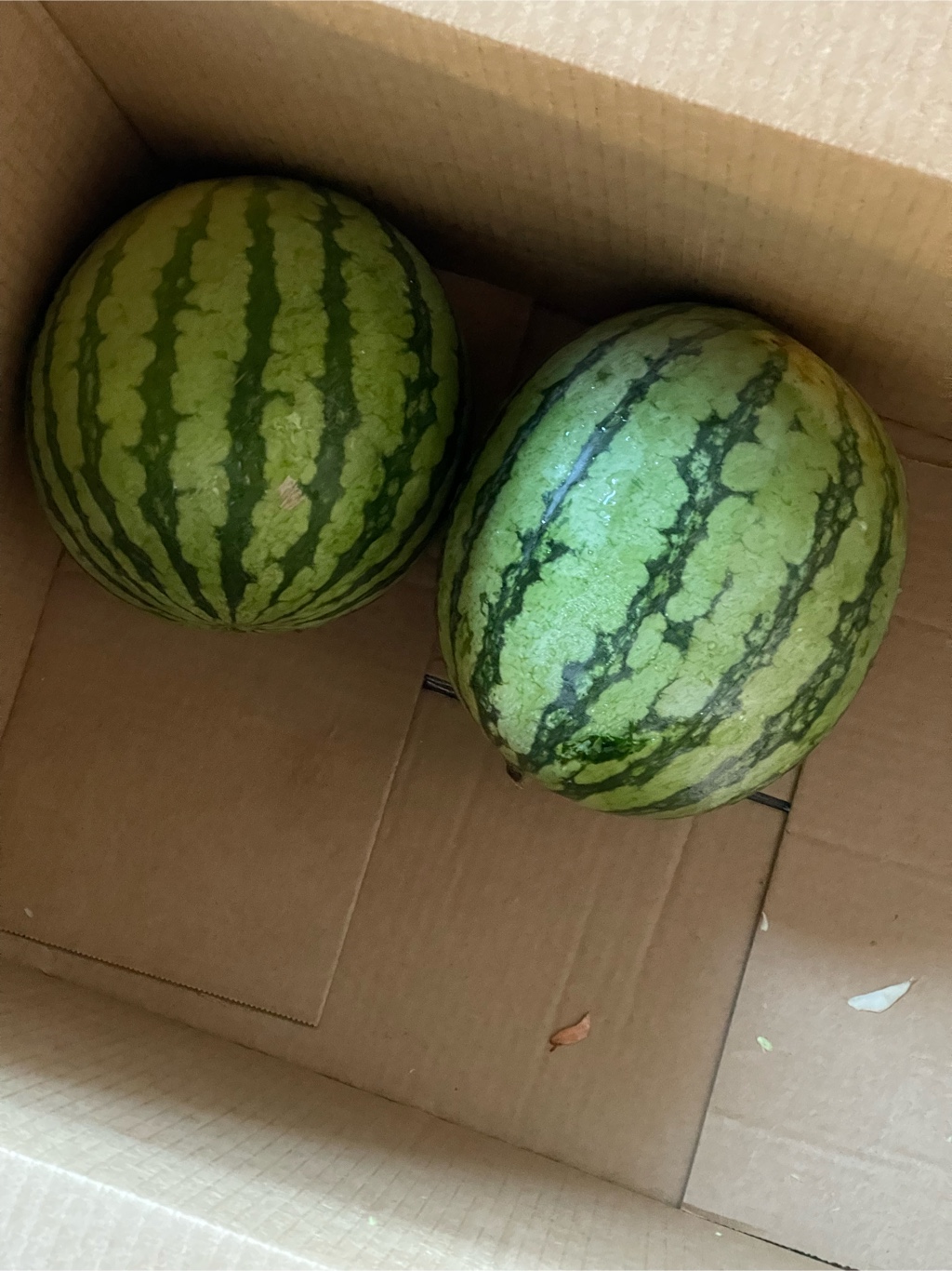 韓国スイカ 西瓜 Weee