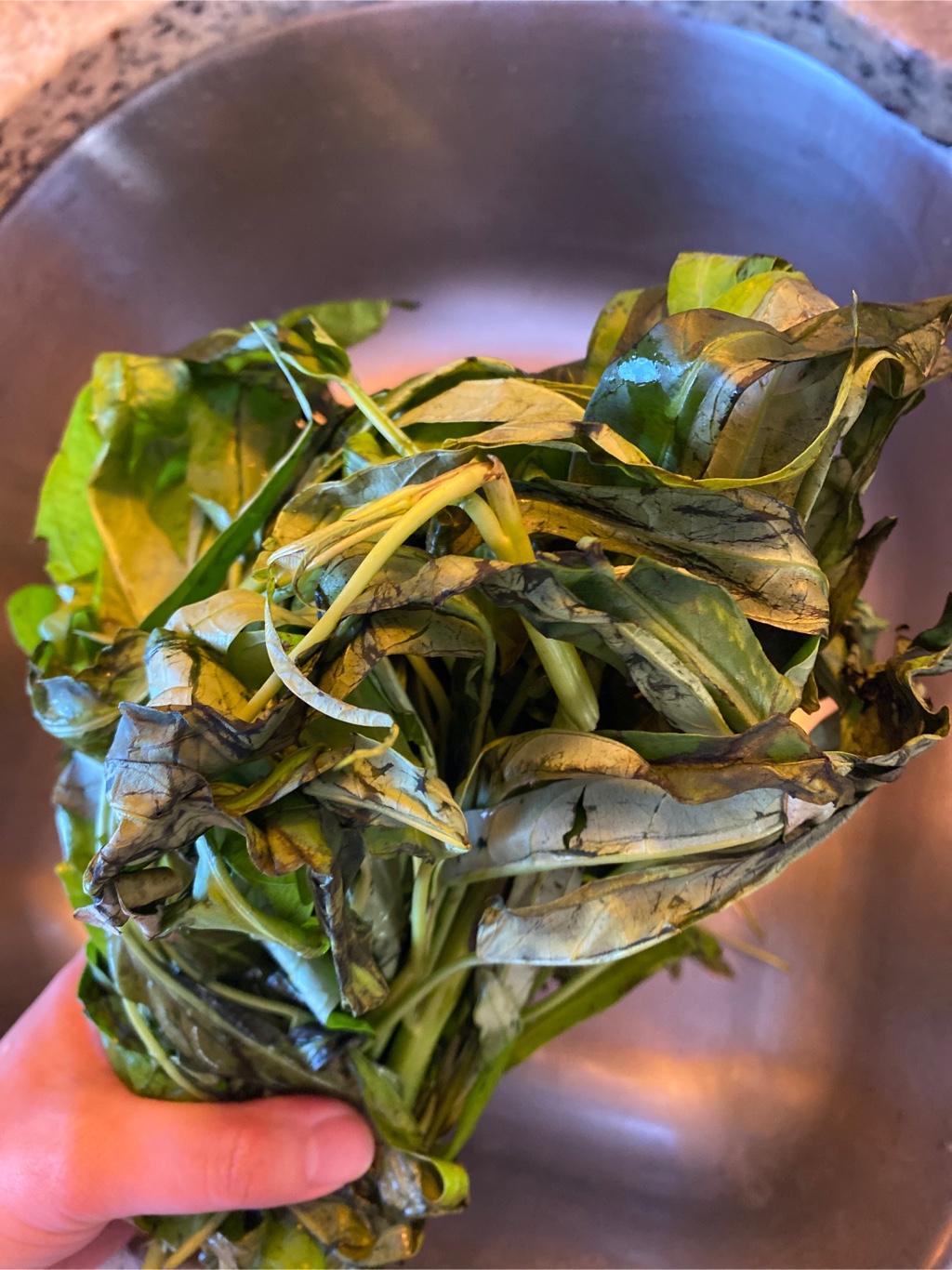 空心菜 jiayue110６キロ 空心菜 jiayue1106キロ 空芯菜 【業務用食材の仕入れなら八面六臂】