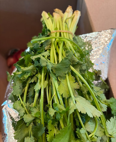 近くのぱくちーを購入すると送料無料