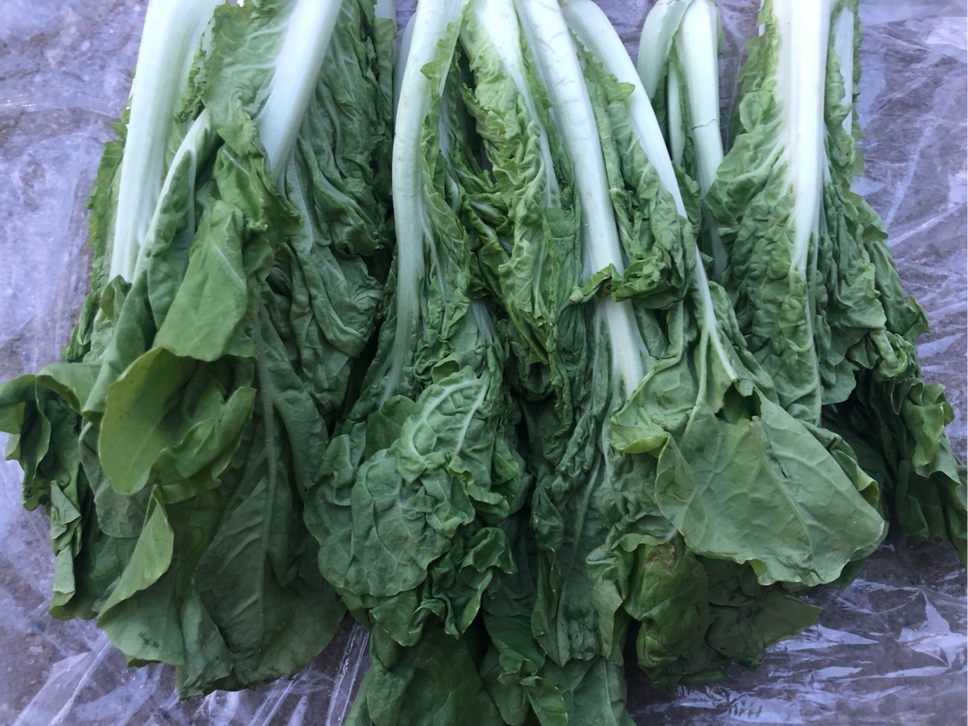 Get Taiwan Nayu 1.5 lb Delivered | Weee! Asian Market