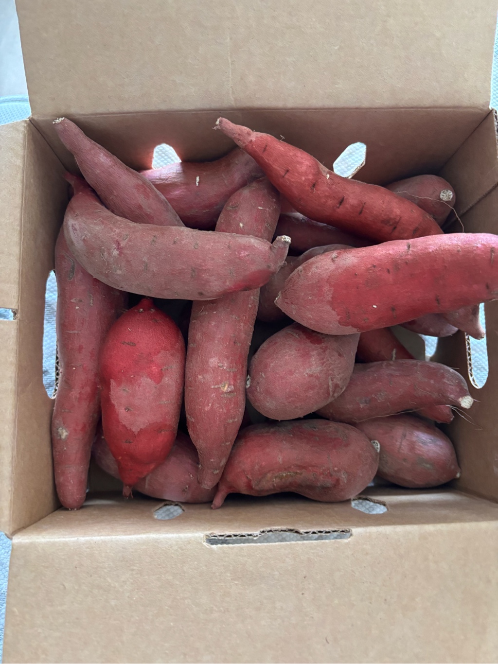 Get Super Sweet Yam Gift Box 5 lb Delivered | Weee! Asian Market