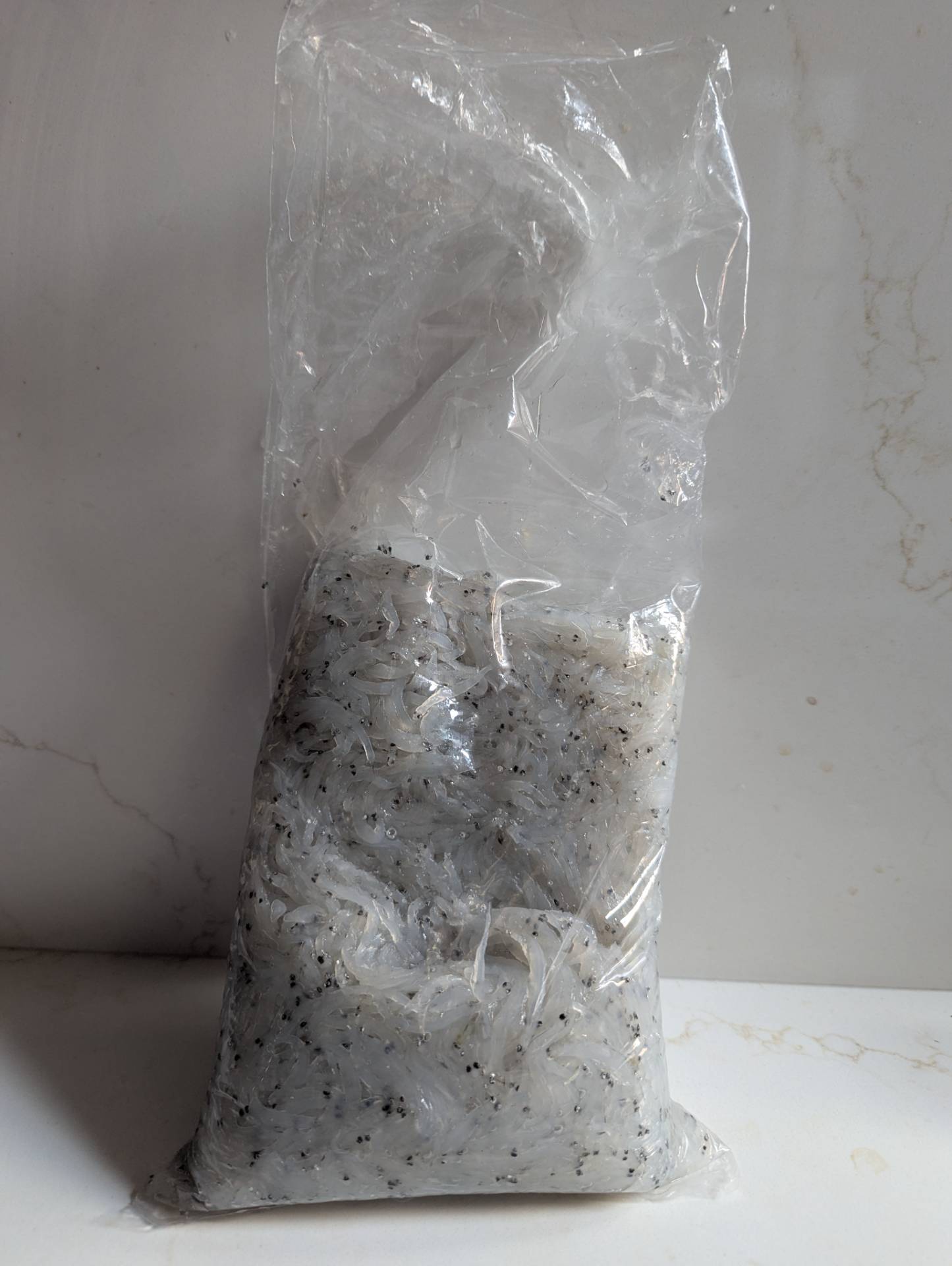 しらす 冷凍 1kg 2.2 ポンド - Weee!