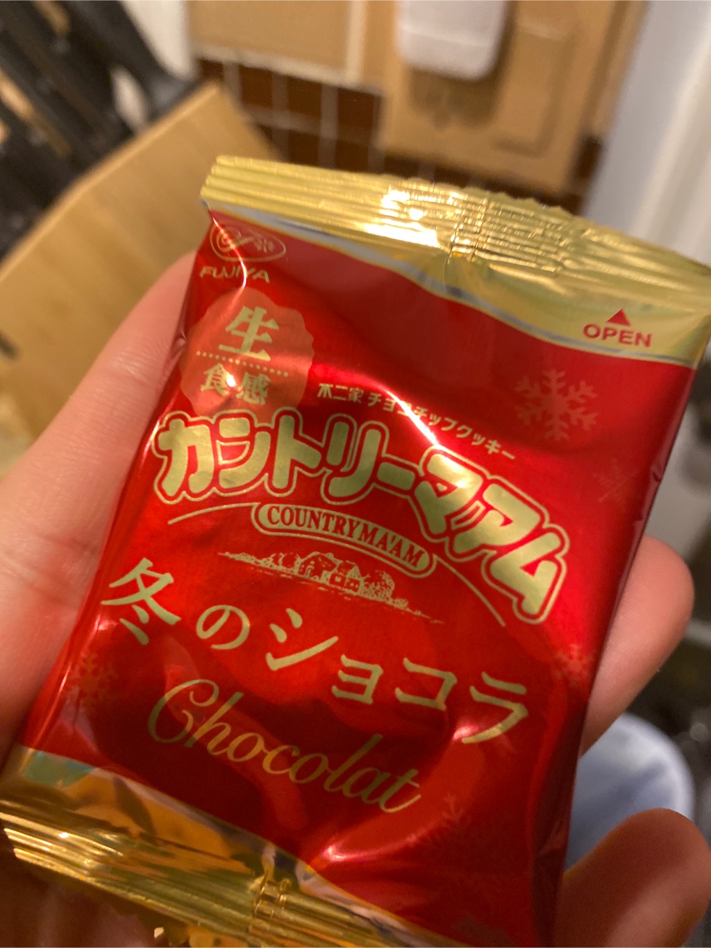 Fujiya] Japanese Chocolate Cookies 8ct - Weee!