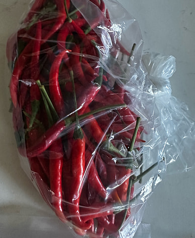 トシ品激辛 赤辣妹子 激辛 赤絲椒 セット長野県産13kg 大小様々等 激辛 赤辣妹子 激辛 赤絲椒 セット長野県産13キロ以上