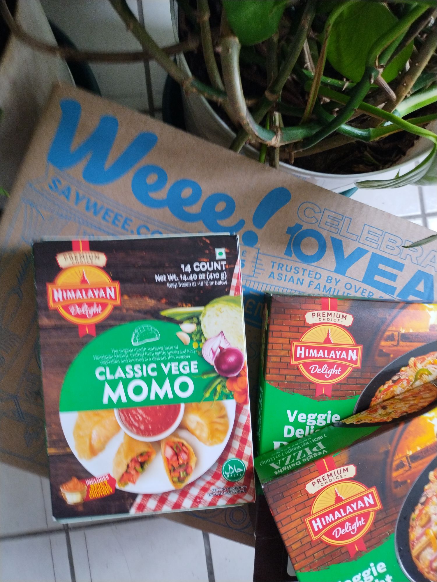 Get Himalayan Delight Classic Vege Momos, Frozen 14.4 oz Delivered