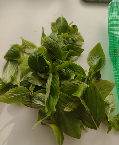 Mua rau húng quế ở đâu? Chợ Việt (có giao hàng miễn phí) | Weee!