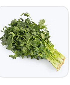 パクチーページ 40F9BD69B735AB8F.jpeg!c387x472