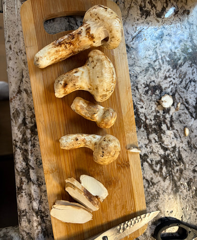 青森県産　松茸　マツタケ　1.8kg 近くの松茸を購入すると送料無料