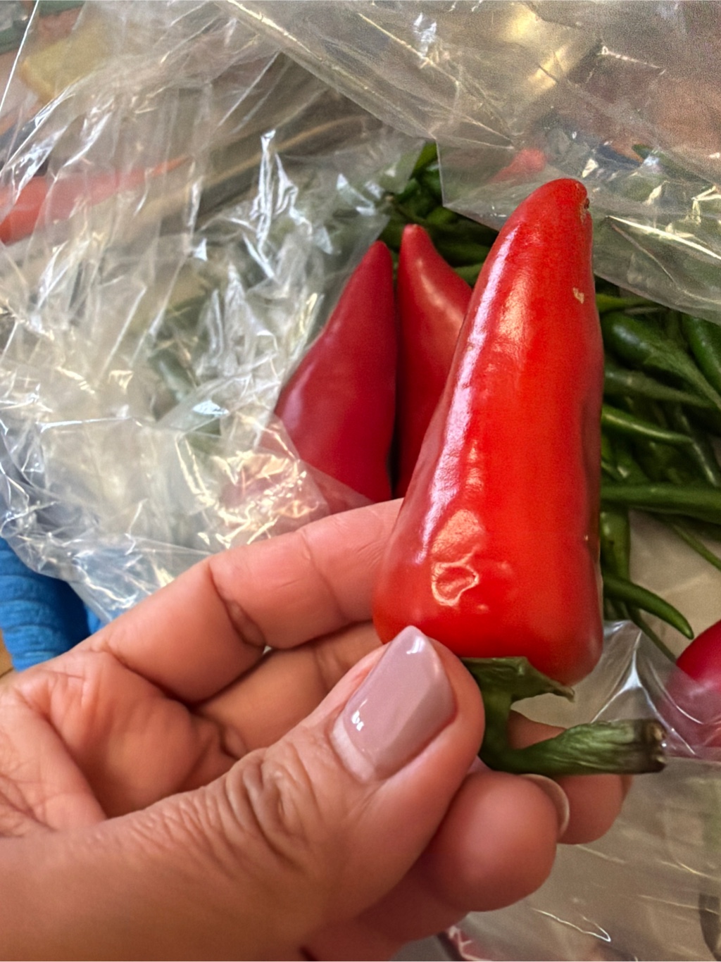 レッドフレズノチリペッパー - Weee!