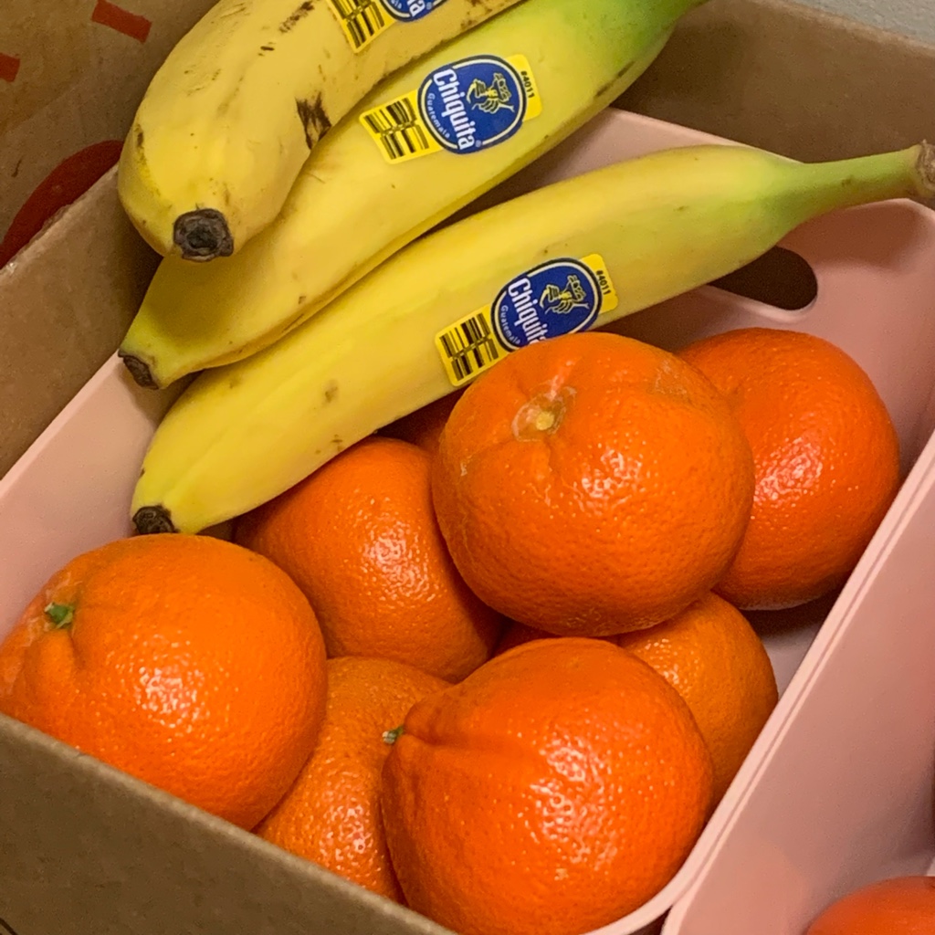 ネーブルオレンジ 楽天市場】ネーブルオレンジ オーストラリア産 小箱 約2.8kg 約