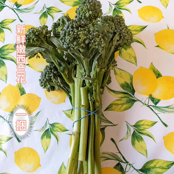 新鮮な柔らかいブロッコリー（1束）