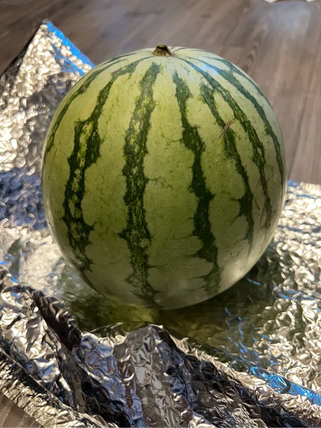 スイカ スイカ 【富里すいか園】 特大 富里スイカ 4L 1個 9kg以上 千葉