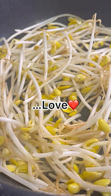 根菜・豆類・もやし Fxxk69 大豆もやし - Weee!