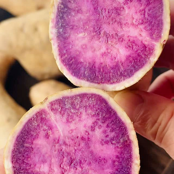 ハワイ産紫芋（白皮）