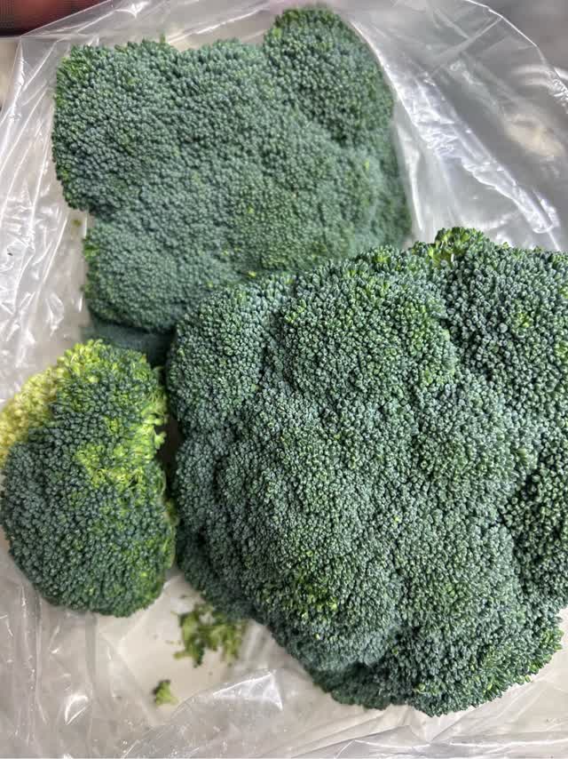 ブロッコリー D42A1C9E24C997.jpeg