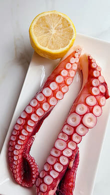 中トロ タコ足2 貝柱 麗 中トロ タコ足2 貝柱 麗 タコ足一本ミニ