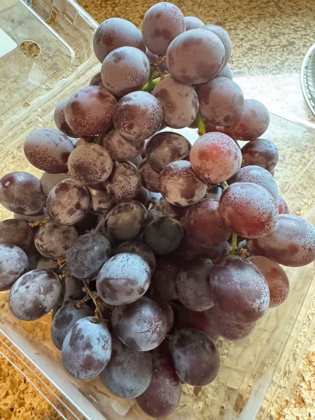 葡萄 楽天市場】【ふるさと納税】巨峰ブドウ 約3kg (7～9房) | 種あり