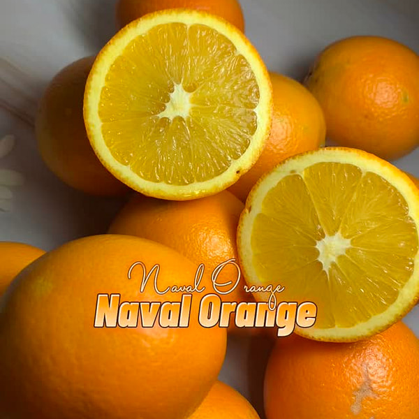 Naval Orange