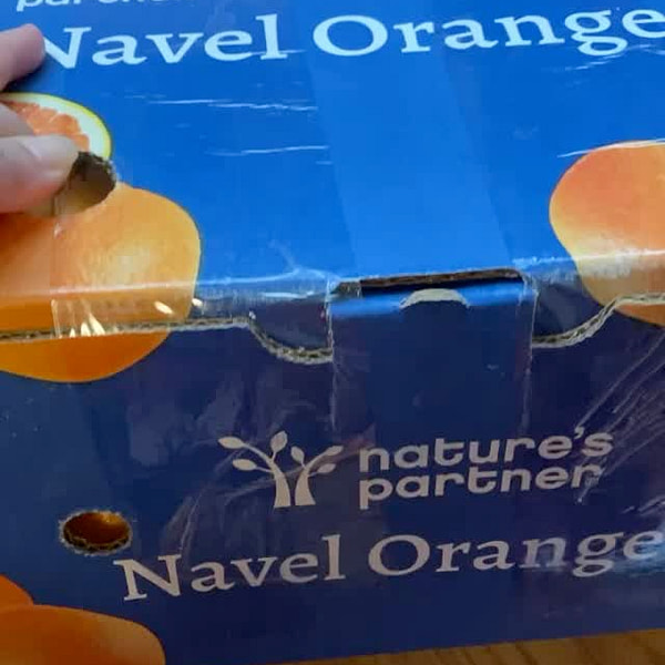 精品加州臍橙 Premium California Navel Oranges