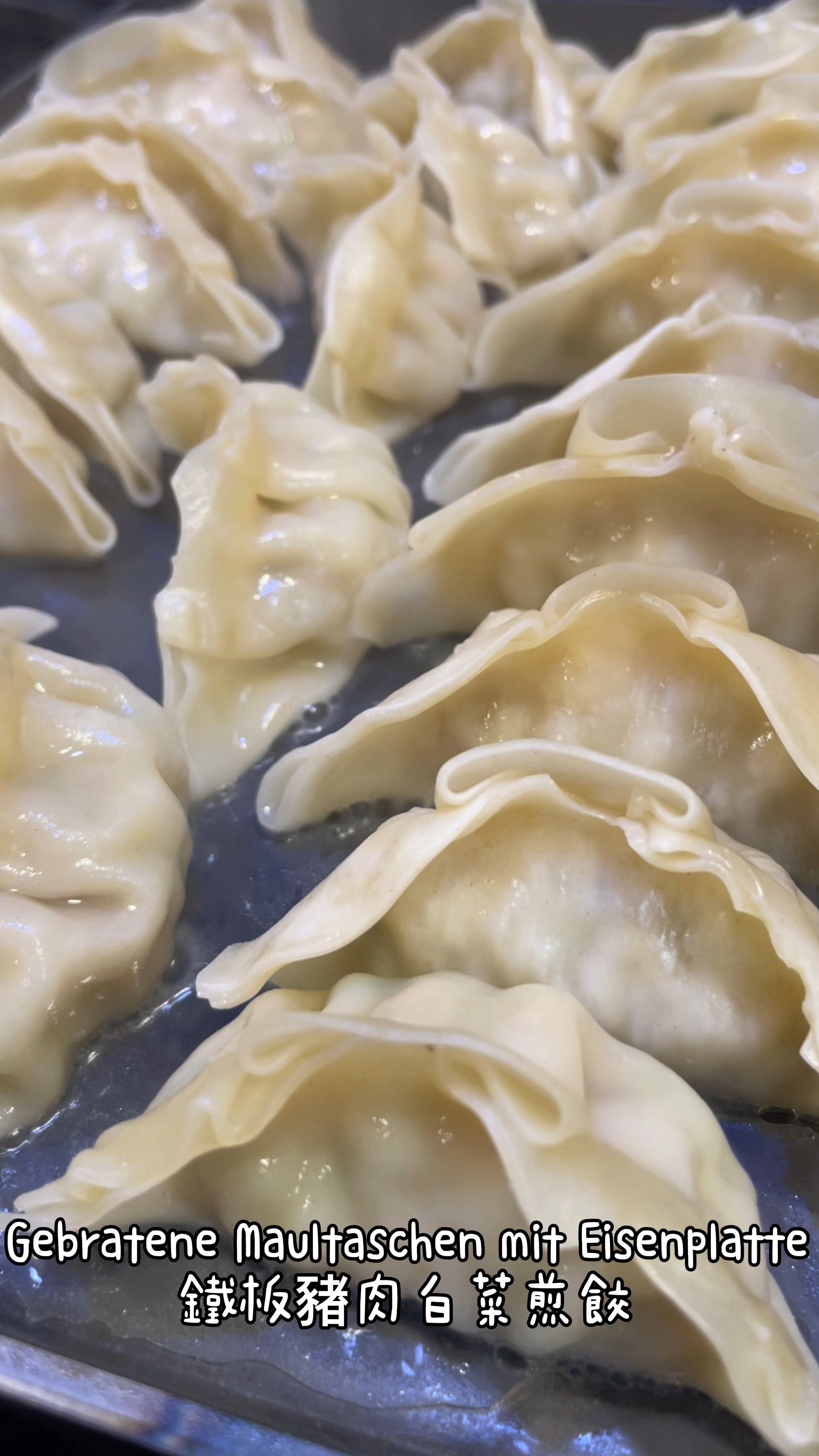 鉄鍋で揚げたプロクと野菜の餃子 鉄鍋で揚げたプロクと野菜の餃子