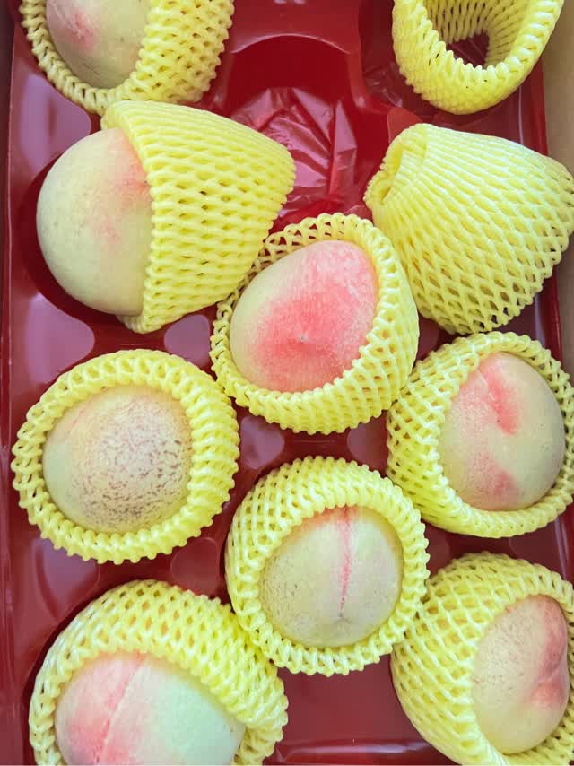 桃仙 This Zero-Mileage 1996 Kawasaki ZX7-RR Is Priced At RM224