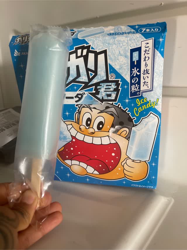 赤城乳業 ガリガリ君ソーダ アイスキャンディー 7本入り 441 ml