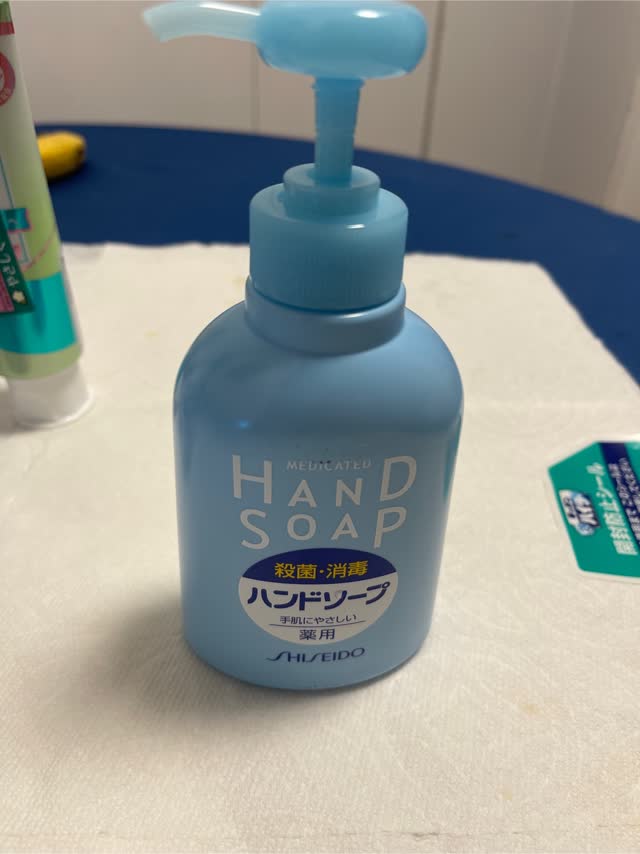 Get Shiseido Medicated Hand Soap Delivered | Weee! Asian Market