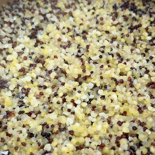 Sakura casserole can also be used to make firewood rice that is full of ...