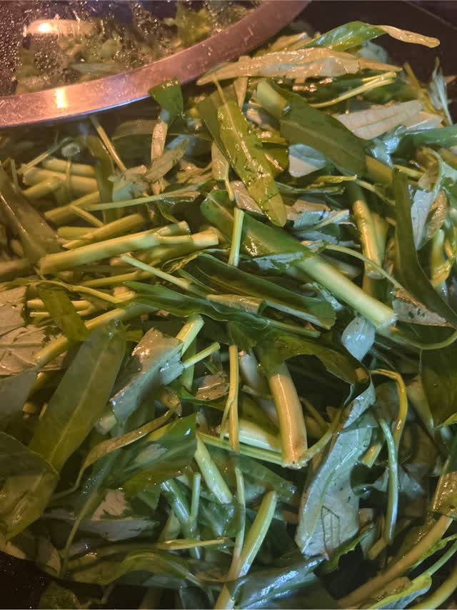 空芯菜…5kg 楽天市場】【送料無料】【朝市場直行】茨城県ほか エンサイ