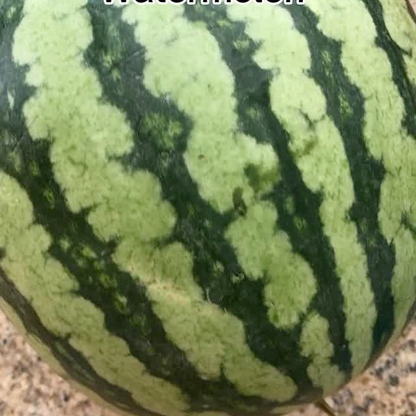 紅西瓜？黃西瓜？我的孩子對黃西瓜的真實反應