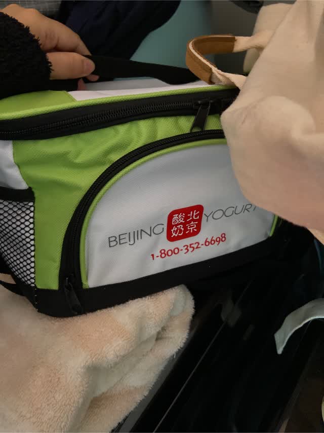 Details more than 120 big basket daily bag latest esthdonghoadian