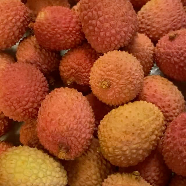 Mexican Lychee