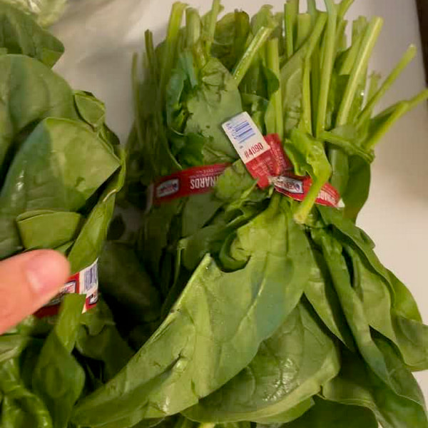 ウィーの料理は厳選されており、家に届けるととても美味しいです！