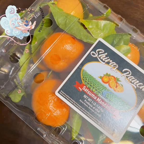 種なしスイートオレンジ 葉付き 4ポンド
