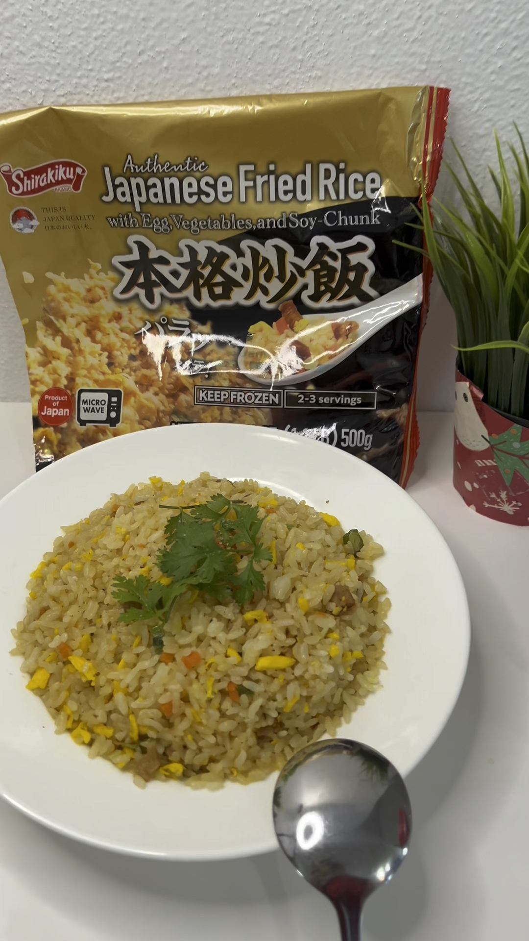その他 Fried rice Japanese Style Fried Rice