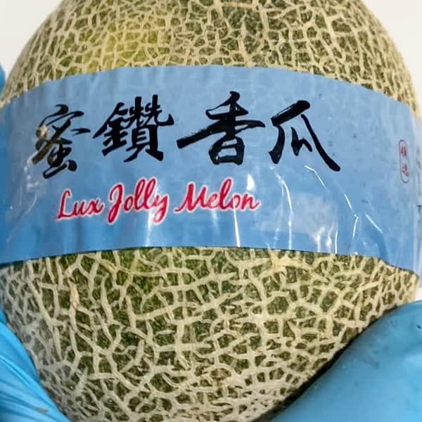 日本洋香瓜蜜鑽香瓜1個