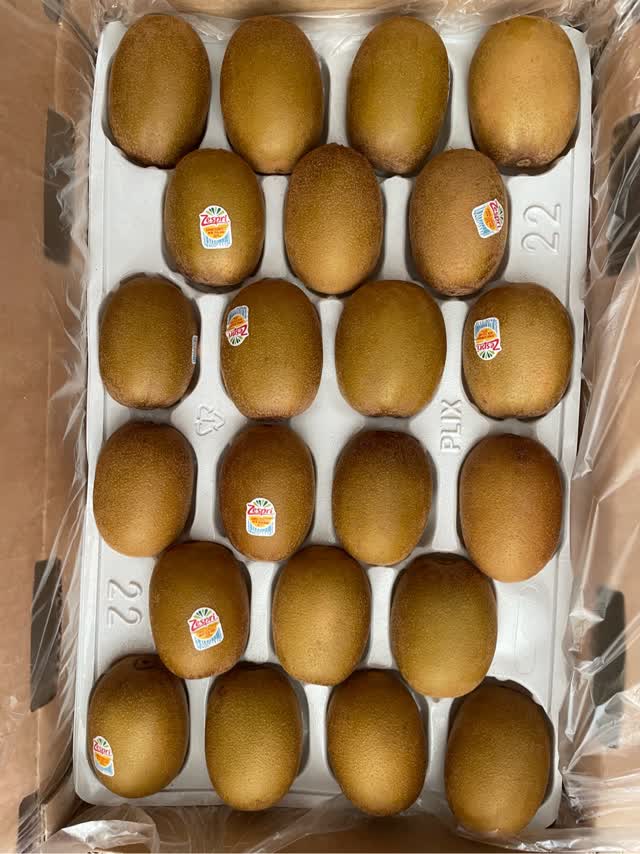 Zespri キウイフルーツ水筒 タンブラー Zespri キウイブラザーズ