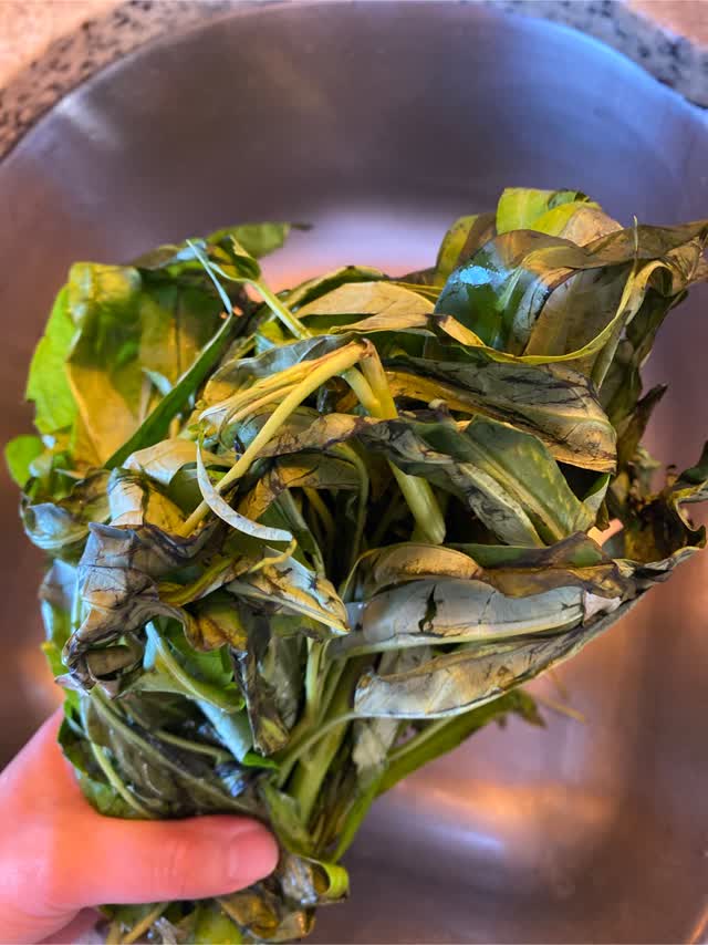 空心菜 jiayue110６キロ 空芯菜 - Weee!