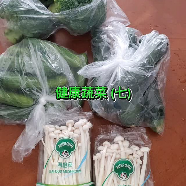 健康的な野菜 (7)