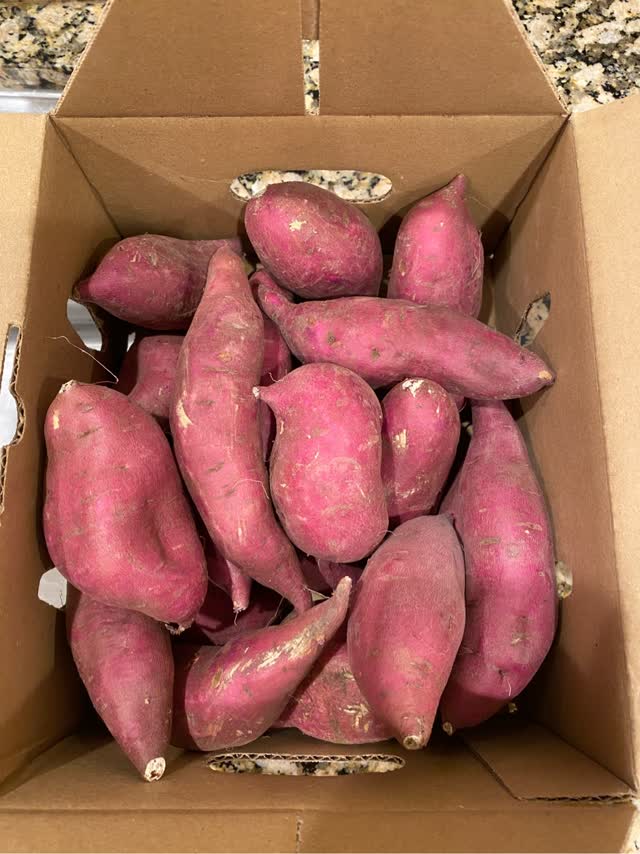 Sweet Potato　さま専用 Get Super Sweet Yam Gift Box 5 lb Delivered | Weee! Asian Market